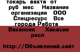 токарь. вахта. от 50 000 руб./мес. › Название организации ­ ООО Спецресурс - Все города Работа » Вакансии   . Хакасия респ.